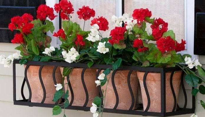 5 BƯỚC GIÚP BẠN CÓ MỘT CHẬU HOA TREO CỬA SỔ TUYỆT VỜI