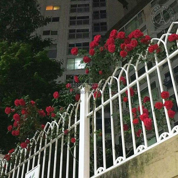 BÁO GIÁ MỚI NHẤT: 25 MẪU HÀNG RÀO SẮT HỘP MẠ KẼM